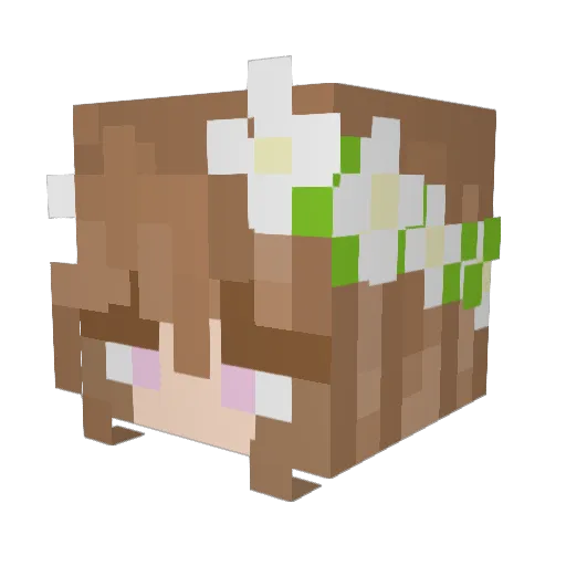 DONPR0ST Minecraft avatar head, 3D render