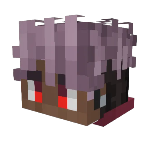 DONT_HOUSE Minecraft avatar head, 3D render