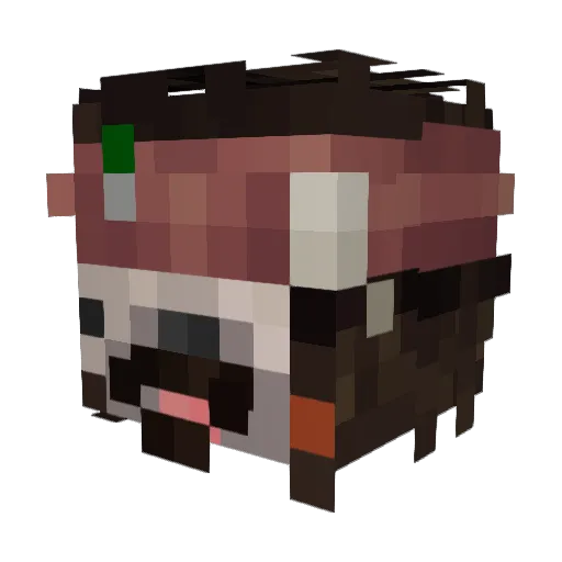 DON___DOMINGO Minecraft avatar head, 3D render