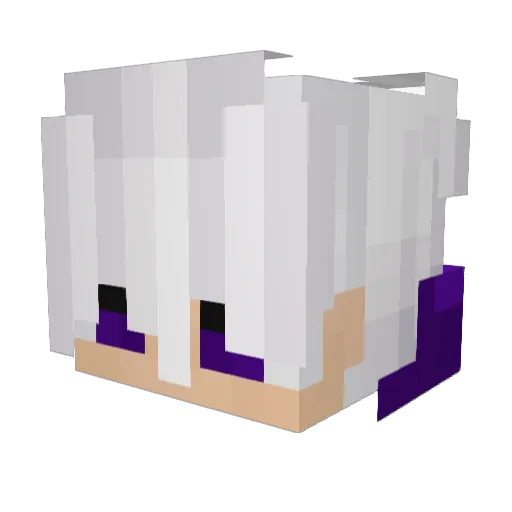 DORAtiSTUPRA Minecraft avatar head, 3D render