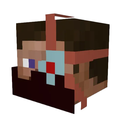 DORKING208 Minecraft avatar head, 3D render