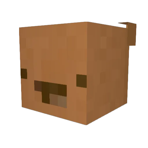 DO_SSI Minecraft avatar head, 3D render