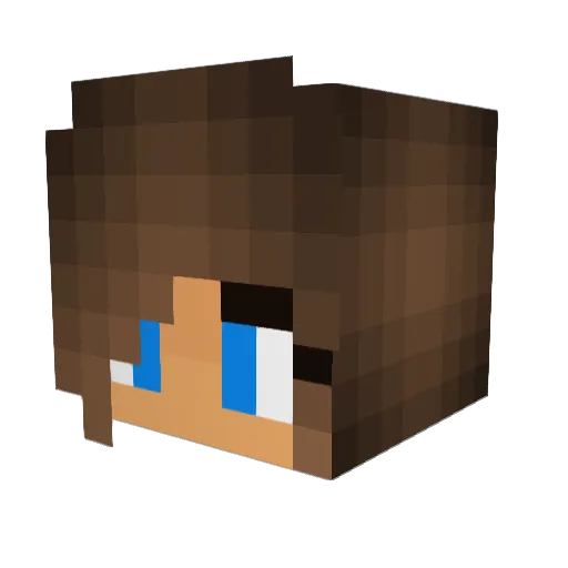 DPF010 Minecraft avatar head, 3D render
