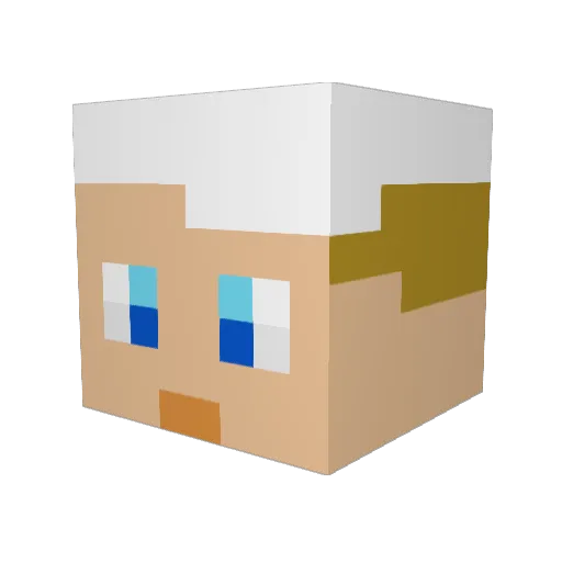 DPL46 Minecraft avatar head, 3D render