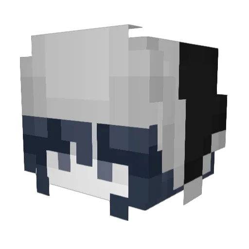 DPLASH0 Minecraft avatar head, 3D render