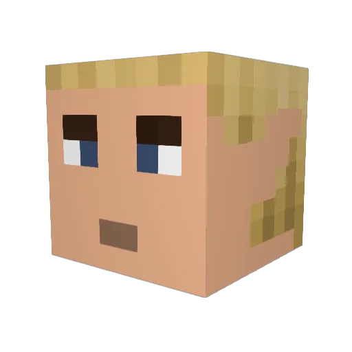 DPS90 Minecraft avatar head, 3D render