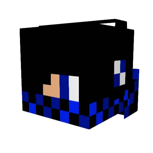 DPSP Minecraft avatar head, 3D render