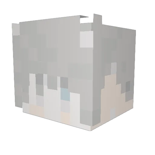 DPW87 Minecraft avatar head, 3D render