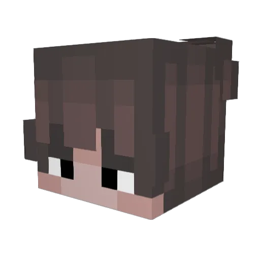 DPZ_ Minecraft avatar head, 3D render