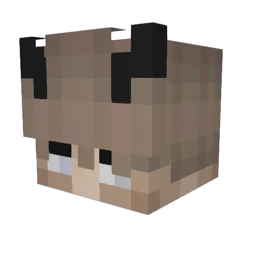 DP_Gamer_YT Minecraft avatar head, 3D render