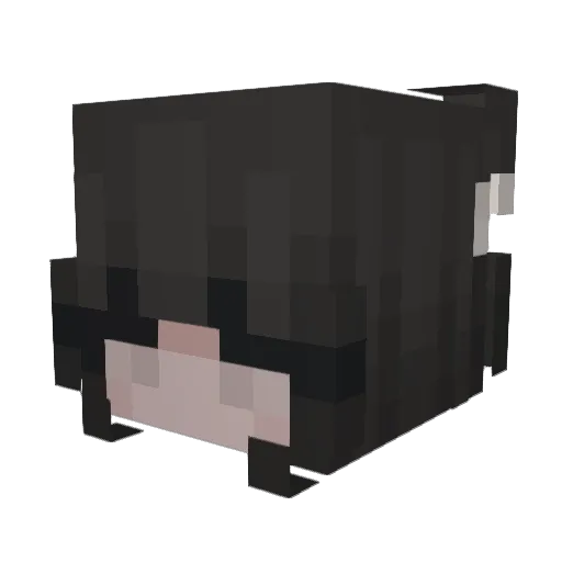 DQFV Minecraft avatar head, 3D render