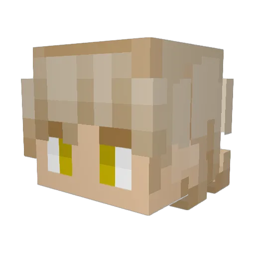 DQuizlix Minecraft avatar head, 3D render