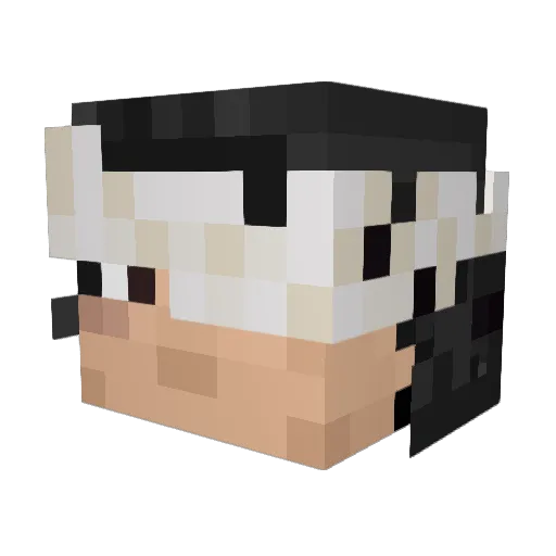 DR1CH Minecraft avatar head, 3D render