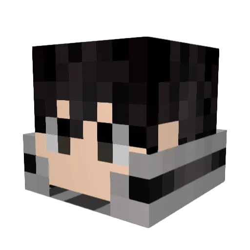 DR4GU0 Minecraft avatar head, 3D render