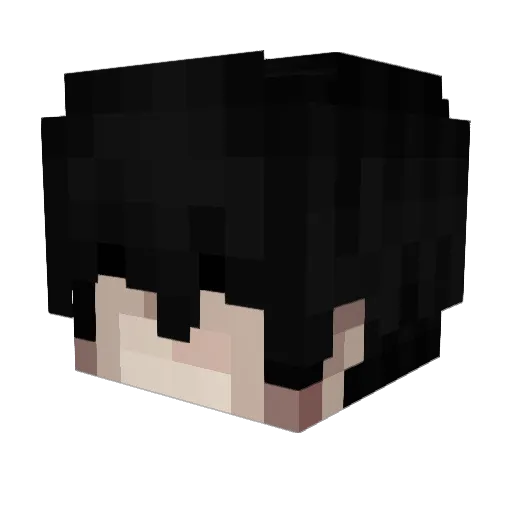 DR5H Minecraft avatar head, 3D render