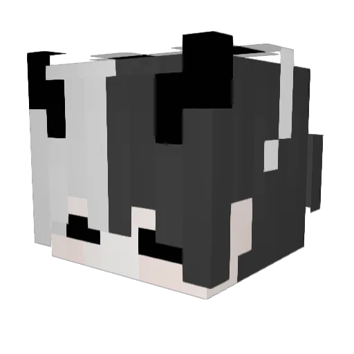 DRAG4M Minecraft avatar head, 3D render