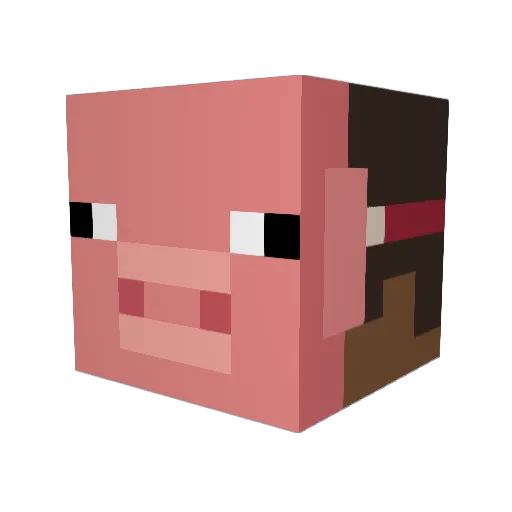 DRAGONGOD1113 Minecraft avatar head, 3D render