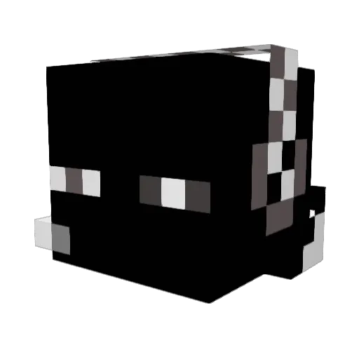 DRAGONGRL702 Minecraft avatar head, 3D render