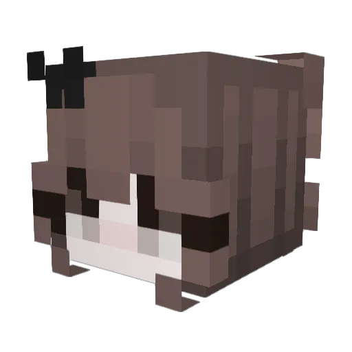 DRAGONITE2068 Minecraft avatar head, 3D render