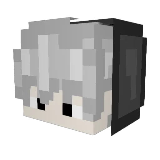 DRAGONMAC155 Minecraft avatar head, 3D render