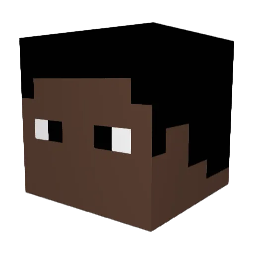 DRANK123 Minecraft avatar head, 3D render