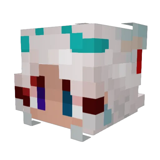 DRBUTTERBUNS4 Minecraft avatar head, 3D render