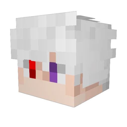 DRBplayZYT Minecraft avatar head, 3D render