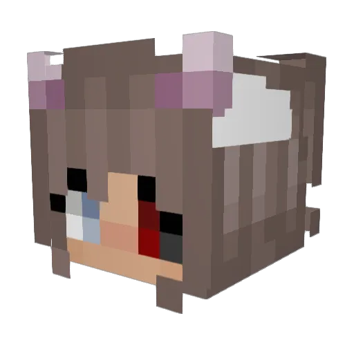 DREAMkiller5131 Minecraft avatar head, 3D render