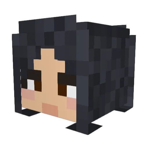 DREETNN Minecraft avatar head, 3D render