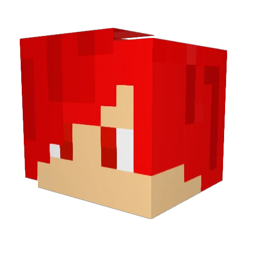 DRGUNNUT Minecraft avatar head, 3D render