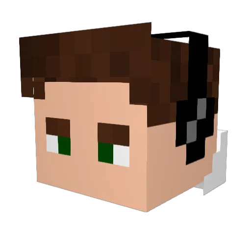 DRGenius2000 Minecraft avatar head, 3D render