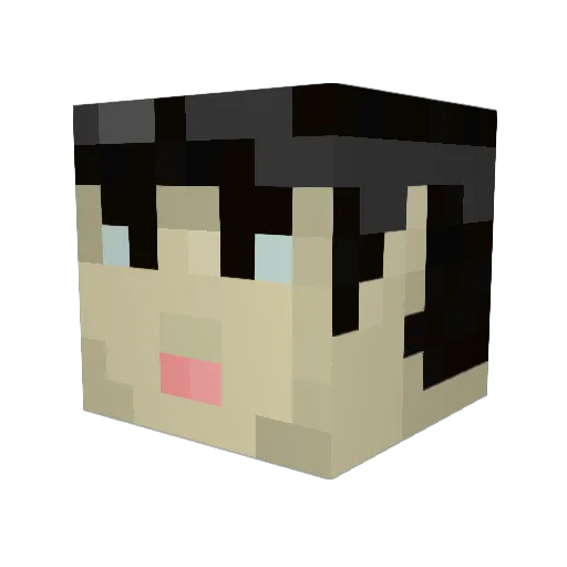 DRINKFISH Minecraft avatar head, 3D render