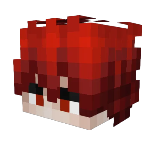 DRIPMEMBERBUDDOK Minecraft avatar head, 3D render