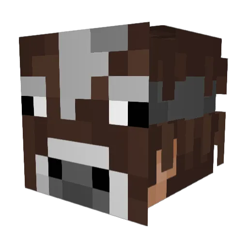 DRIP_MEISTER Minecraft avatar head, 3D render