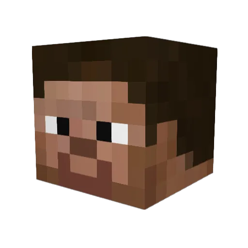 DRNOODLEZ Minecraft avatar head, 3D render