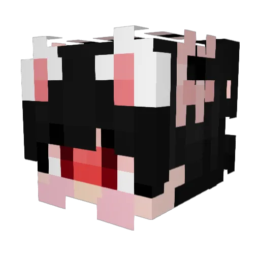 DRN_br Minecraft avatar head, 3D render