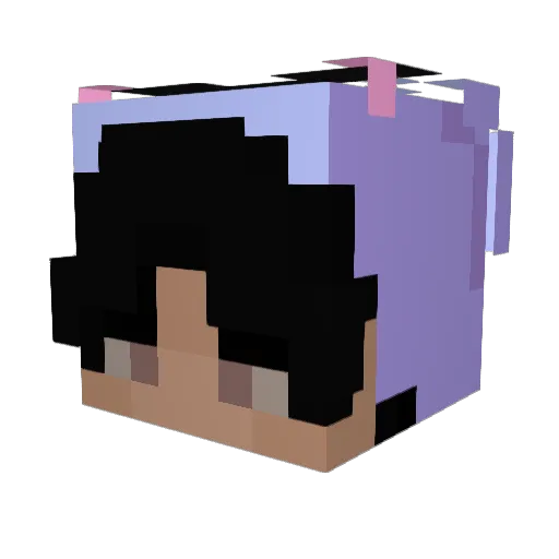 DROCS Minecraft avatar head, 3D render