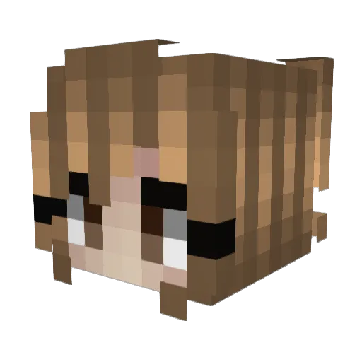 DROOGUE Minecraft avatar head, 3D render