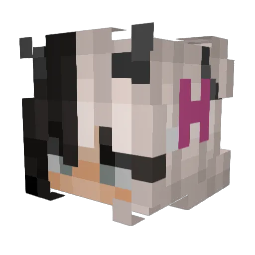 DROSE9999 Minecraft avatar head, 3D render