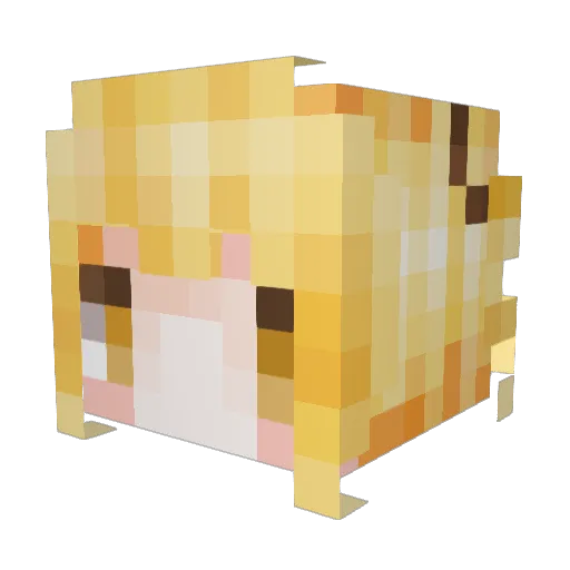 DROWii Minecraft avatar head, 3D render