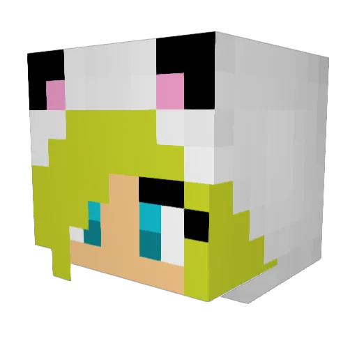 DRSCUGE Minecraft avatar head, 3D render