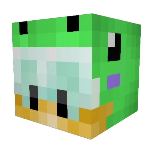 DRTFondo Minecraft avatar head, 3D render