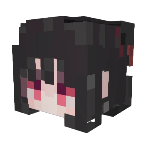 DRYIL2 Minecraft avatar head, 3D render