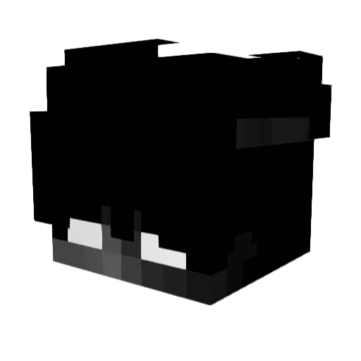 DRZDarkZ Minecraft avatar head, 3D render