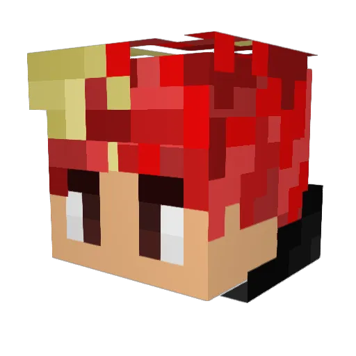 DR_DUBZ Minecraft avatar head, 3D render