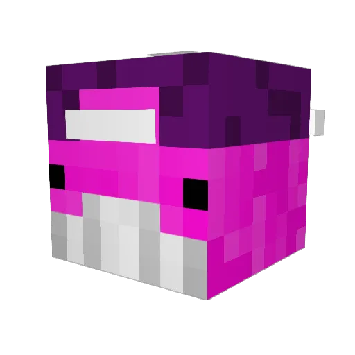 DR_Dons Minecraft avatar head, 3D render