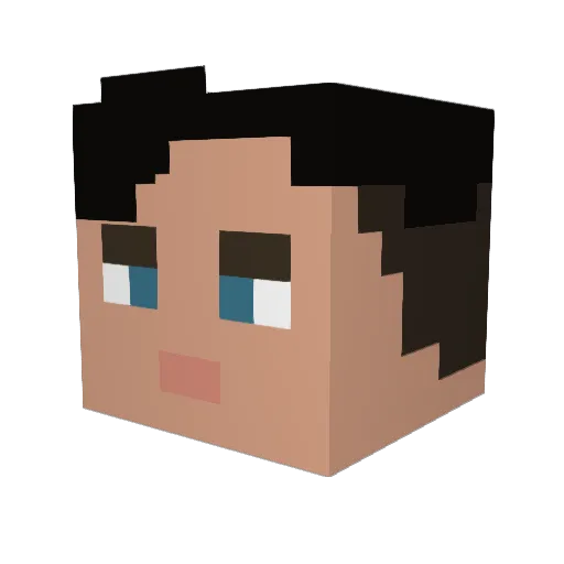 DR_OCTOGONAPUS09 Minecraft avatar head, 3D render