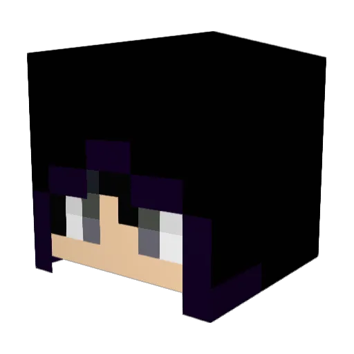 DR_PANECA Minecraft avatar head, 3D render