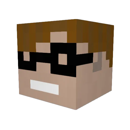 DR_PIBB Minecraft avatar head, 3D render