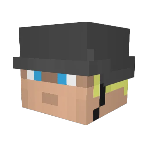 DR_SILLY0 Minecraft avatar head, 3D render
